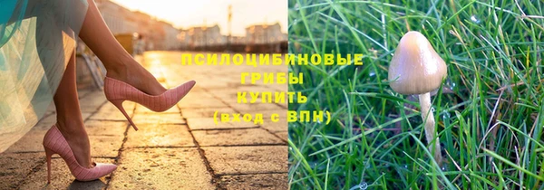 прущая мука Волоколамск