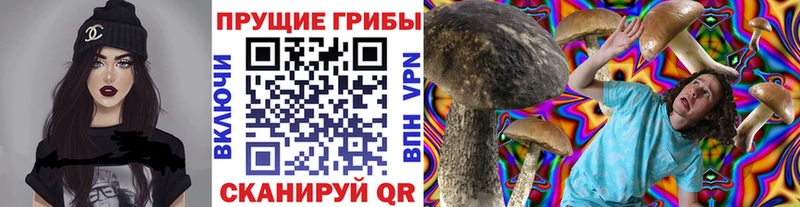 Купить закладки  Егорьевск  Галлюциногенные грибы прущие грибы 